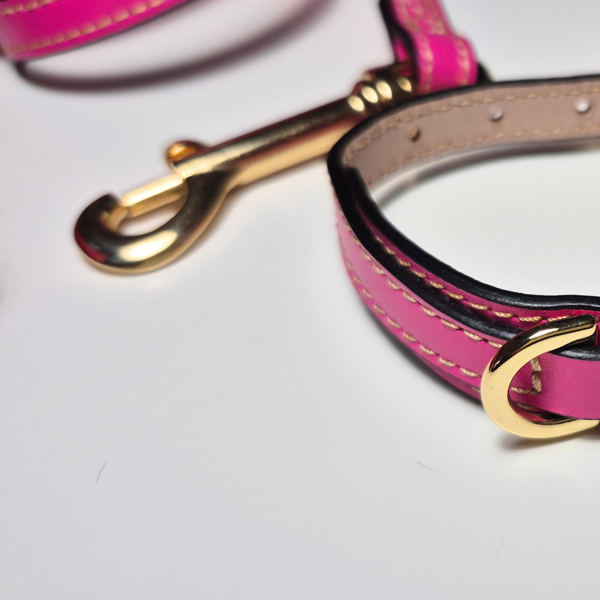 Set Collare e Guinzaglio in Pelle con Porta Sacchetti